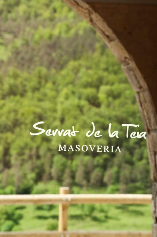 Mas Serrat de la Teia Sant Joan de les Abadesses Exterior foto